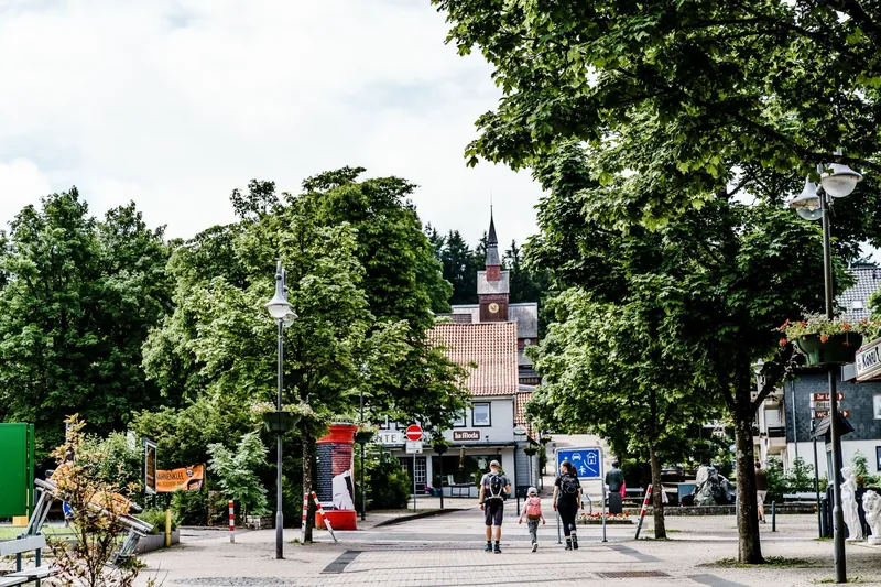 Begrünter Ortskern von Hahnenklee im Sommer