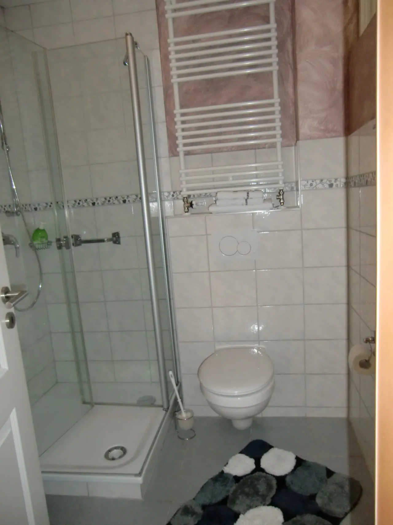 Badezimmer mit Dusche und WC – Fewo Eiche in Hahnenklee