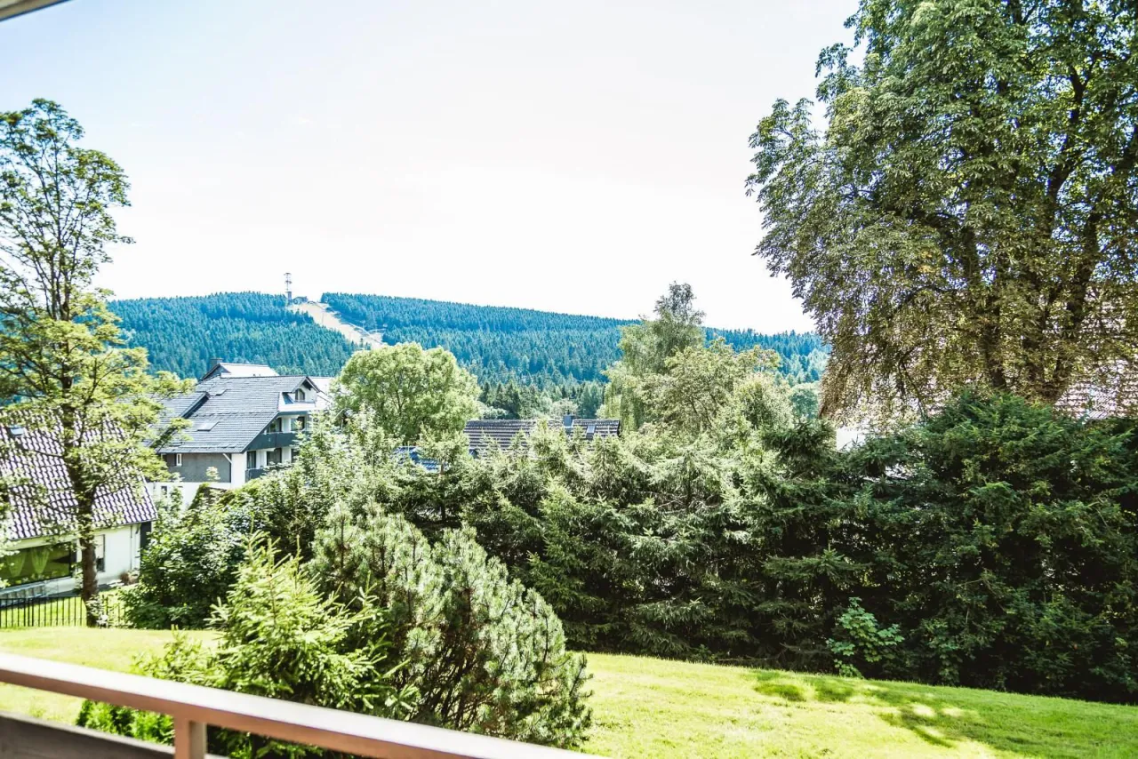Blick vom Balkon auf Wald und Bergkamm – Fewo Petra in Hahnenklee