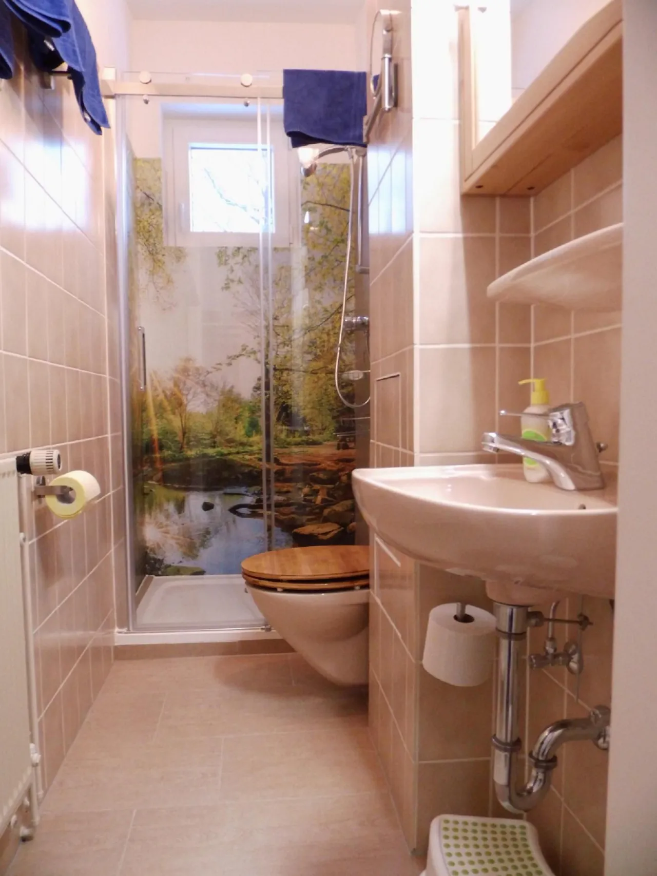 Badezimmer mit Dusche, WC und Waschbecken – Harzglück in Hahnenklee