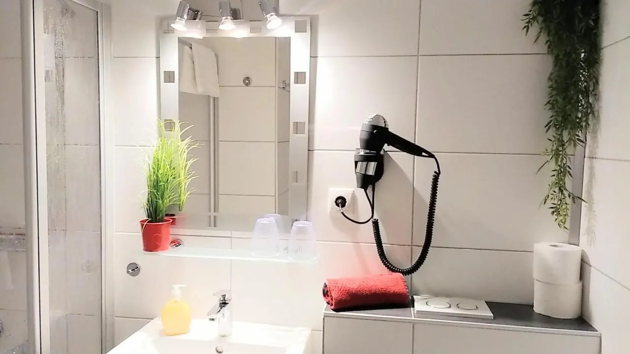 Badezimmer mit Dusche, Waschtisch und Spiegel – Haus Vier Jahreszeiten am See Kranich Nest 336 in Hahnenklee